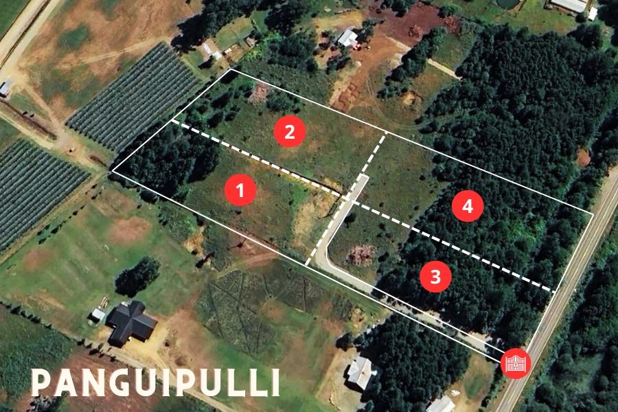 Masterplan del proyecto de 4 parcelas en Panguipulli
